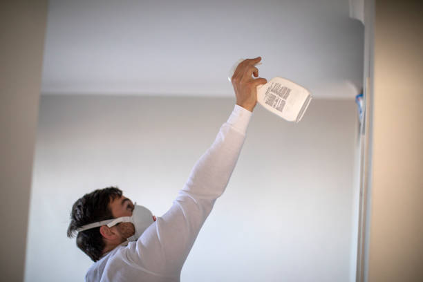Best Attic Mold Remediation in Midway, GA